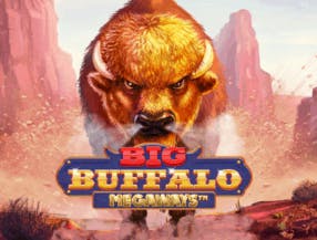 game logo by Skywind Group on casinok.eu.com
