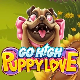 game logo by RubyPlay on casinok.eu.com